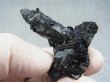 画像2: 広西チワン族自治区産インターフェレンス（ブラックトルマリン）水晶 19.9g