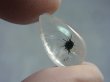 画像1: マダガスカル産ホーランダイトインクオーツ研磨原石 0.9g