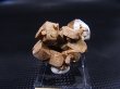 画像1: マラウイ・ゾンバ産ジルコン原石 13.0g
