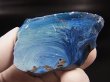 画像1: スウェーデン産ブルースラグ（スウェディッシュブル－） 68.9g