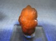 画像2: モロッコ産蛍光エレスチャルシトリン水晶 10.9g
