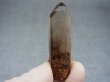 画像1: マラウイ・ムランジェ産クリアスモーキー水晶 10.8g