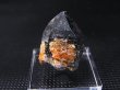 画像1: 福建省産スペサルティンガーネット付きスモーキー水晶原石 8.9g