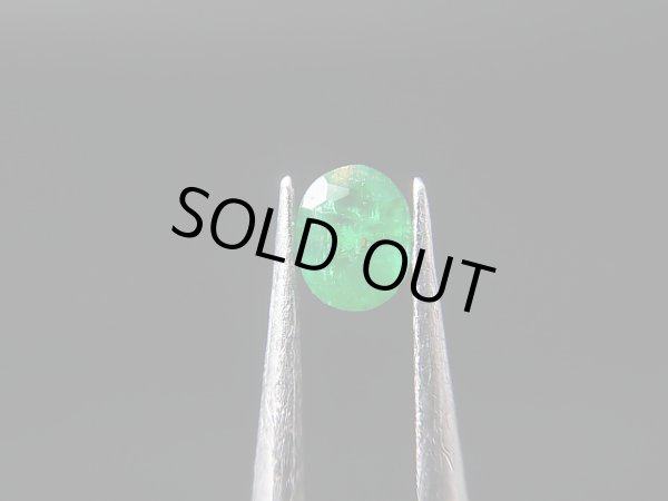 画像1: アフガニスタン・パンジシール産未処理エメラルド・ルース 0.1カラット