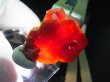 画像1: モロッコ産フローターバナジナイト原石 11.2g