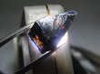 画像2: ノルウェー産アナテース原石結晶（レッド＆ブルー透過） 1.8g