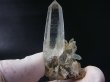 画像1: オシガハエ（尾小八重）産水晶ポイント 15.3g