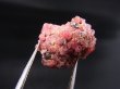 画像1: ベトナムLuc Yen産ピンクスピネル原石 22.0カラット