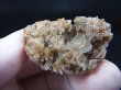 画像1: 長野県甲武信（こぶし）鉱山産日本式双晶水晶入りクラスター 12.8g