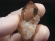 画像1: インド・マニハール産ウォータークリアライトスモーキー水晶（ゴールドルチル入り） 15.9g