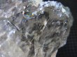 画像2: インド・マニハール産ウォータークリア水晶（ゴールドルチル入り） 51.3g