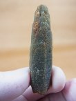 画像1: 柿野鉱山産緑水晶（ヘデンベルガイト/緑閃石入りインターフェレンス型） 15.1g