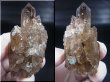 画像1: ベトナム・タインホア産アクアマリン付きスモーキー水晶（ＤＴ多連晶/トパーズ付き） 39.6g