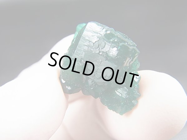 画像1: コンゴ産ダイオプテーズ原石（大粒結晶） 7.0g