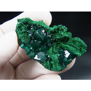 画像: コンゴ産ダイオプテーズ原石（大粒結晶） 20.0g