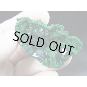 画像: コンゴ産ダイオプテーズ原石（大粒結晶） 20.0g