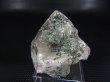 画像1: インド・マニハール産ウォータークリアグリーン水晶（マイカ＆クローライト/レインボー入り） 37.4g