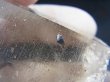 画像2: ノルウェー産水晶ポイント（アナテース付き） 62.6g