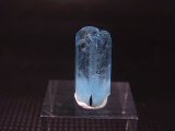 画像: ジェムグレード宝石需要品質：ベトナム産アクアマリン柱状結晶原石（ブラックトルマリン付き） 6.1カラット