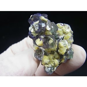 画像: ナミビア・エロンゴ産フローライト＆ショール＆モスコバイト原石 19.5g
