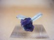 画像1: ドイツ・ザクセン州産フローライト（水晶付き） 0.6g