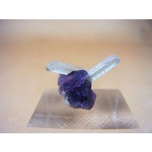 画像: ドイツ・ザクセン州産フローライト（水晶付き） 0.6g