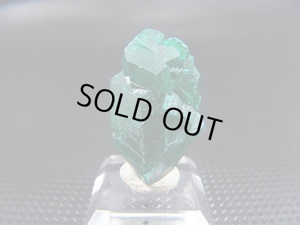 画像1: コンゴ産ダイオプテーズ原石（大粒結晶） 4.6g