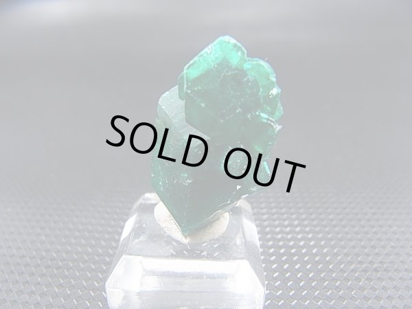 画像2: コンゴ産ダイオプテーズ原石（大粒結晶） 4.6g