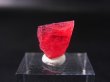 画像1: ジェム品質：ブラジル産ヴィヴィッドレッドロードナイト結晶 4.6カラット