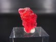 画像1: ジェム品質：ブラジル産ヴィヴィッドレッドロードナイト結晶 5.1カラット