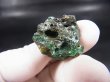 画像1: スウェーデン産グリーンスウェディッシュスラグ 7.6g