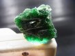 画像2: スウェーデン産グリーンスウェディッシュスラグ 7.6g