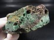 画像2: スウェーデン産グリーンスウェディッシュスラグ 221.9g