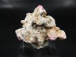画像1: ベトナムLuc Yen産ピンクスピネルinマイカ原石 13.3ｇ