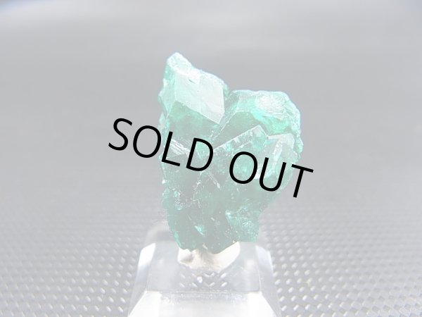 画像1: コンゴ産ダイオプテーズ原石（大粒結晶） 7.7g