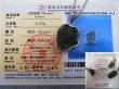 画像2: チェコ産モルダバイトSA原石シルバー枠ペンダント（鑑別カード/サービスチェーン付き） 4.5g