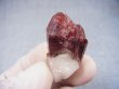 画像1: ザンビア産レッドファントム水晶 10.6g