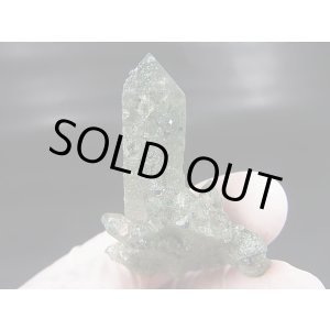 画像: インド・マニハール産グリーン水晶（連晶/アナテース・アーカンサイト付き） 17.0g