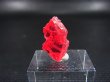 画像2: ジェム品質：ブラジル産ヴィヴィッドレッドロードナイト結晶 5.2カラット