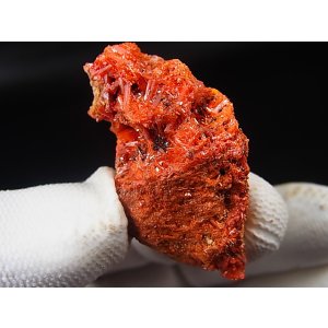 画像: ドイツ・ザクセン州産クロコアイト 33.0g