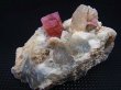 画像1: モロッコ産ピンクエルバイトトルマリン/正長石原石 52.2g