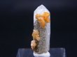 画像1: ドイツ・ザクセン州産シデライト付き水晶  1.6g