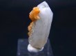 画像2: ドイツ・ザクセン州産シデライト付き水晶  1.6g