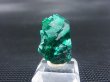 画像1: コンゴ産ダイオプテーズ原石（大粒結晶） 5.2g