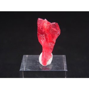 画像: ジェム品質:ブラジル産ヴィヴィッドレッドロードナイト結晶 7.0カラット