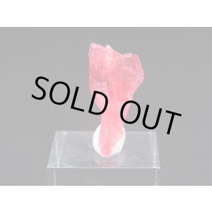 画像: ジェム品質：ブラジル産ヴィヴィッドレッドロードナイト結晶 7.0カラット