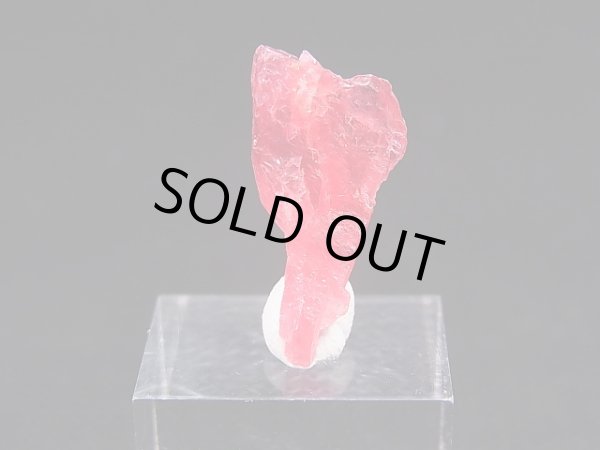 画像1: ジェム品質：ブラジル産ヴィヴィッドレッドロードナイト結晶 7.0カラット