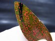 画像2: 飯盛ラボストーン（IL-stone）「レアカラー：ブラッドストーン（紅葉石）」ガラス原石 29.6カラット