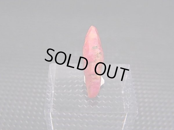 画像1: ベトナムLuc Yen産シルキーサファイア原石（犬牙型） 2.7カラット