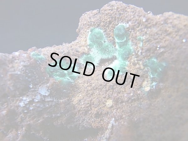 画像2: ナミビア・ツメブ産マラカイト原石 217.3g